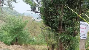 Land for Sale in Kandy Thalathuoya