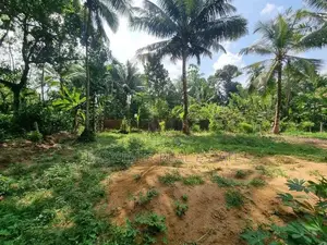 කොළඹ දෙල්ගොඩ 225 බස් පාරට ආසන්නව බිම්කොටස් විකිණීමට
