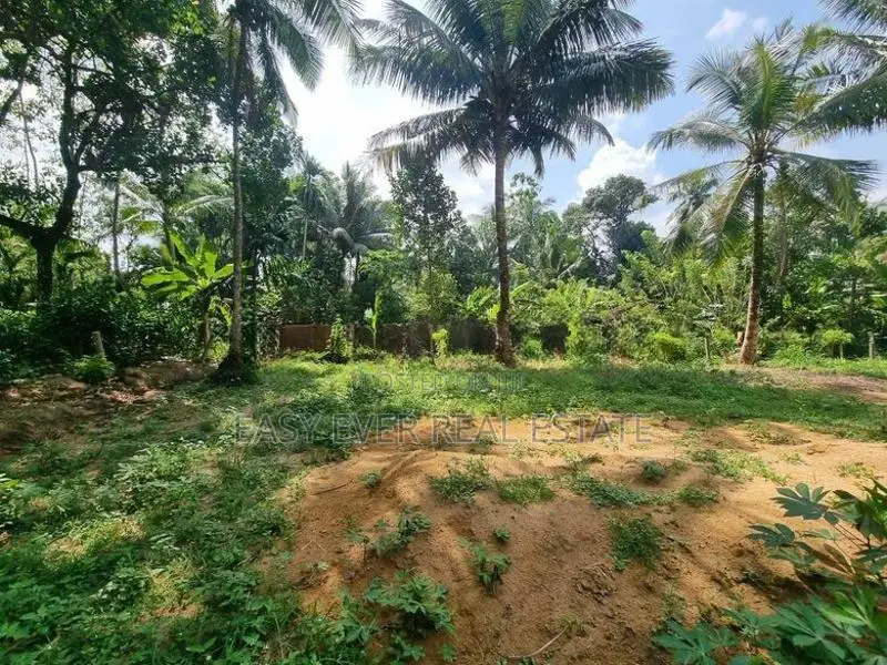 කොළඹ දෙල්ගොඩ 225 බස් පාරට ආසන්නව බිම්කොටස් විකිණීමට