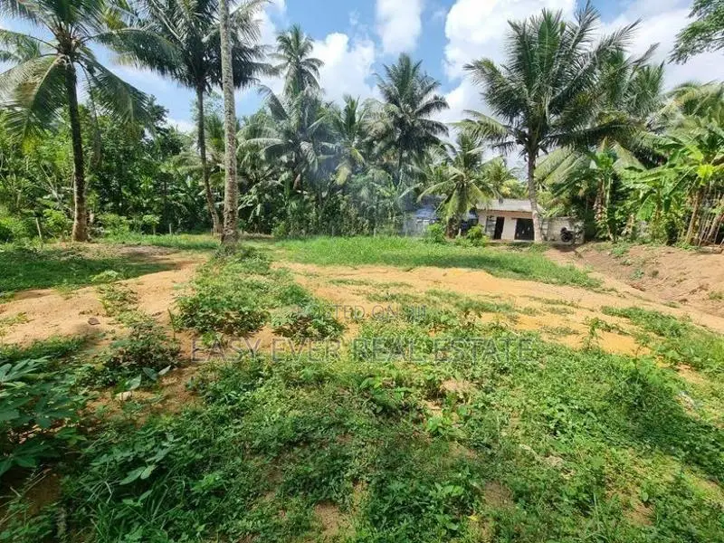 කොළඹ දෙල්ගොඩ 225 බස් පාරට ආසන්නව බිම්කොටස් විකිණීමට