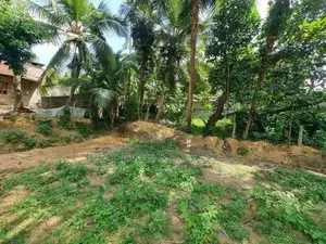 කොළඹ දෙල්ගොඩ 225 බස් පාරට ආසන්නව බිම්කොටස් විකිණීමට