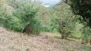 Land for Sale in Kandy Thalathuoya