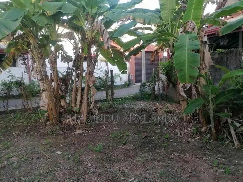 පන්නිපිටියේ වටිනා නේවාසික ඉඩමක් විකිණීමට