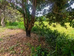 Thihariya බිම් කොටසක්
