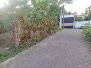 පන්නිපිටියේ වටිනා නේවාසික ඉඩමක් විකිණීමට