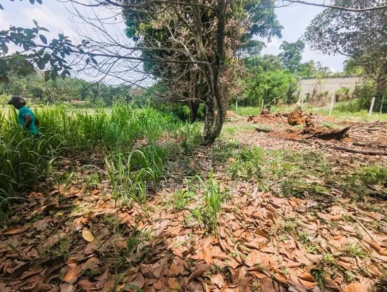 Thihariya බිම් කොටසක්