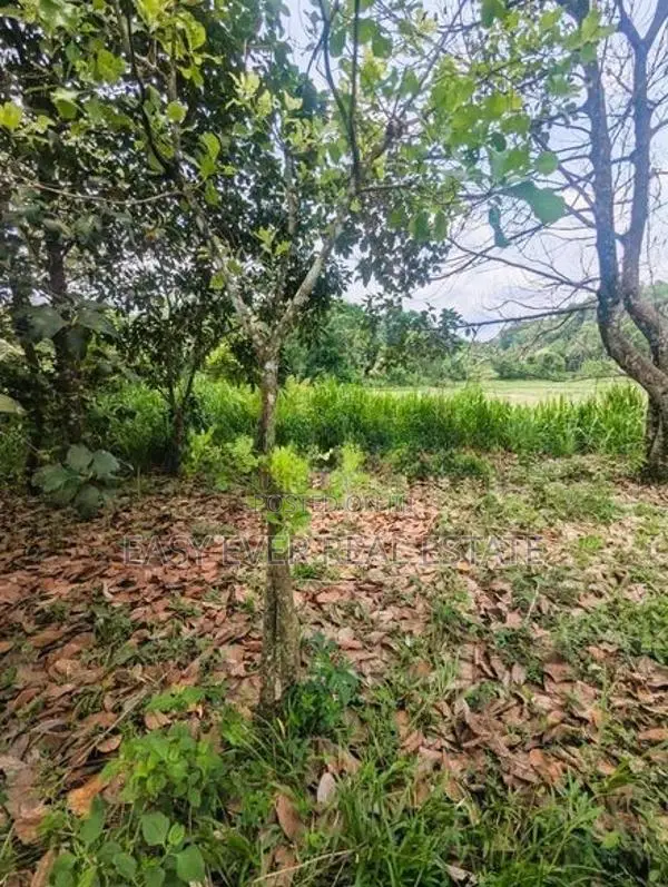 Thihariya බිම් කොටසක්