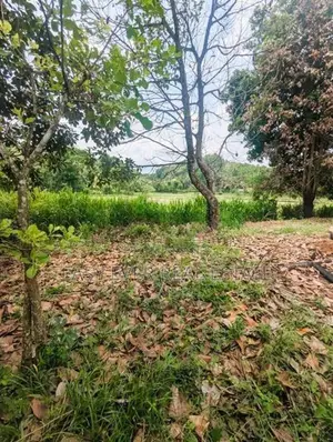 Thihariya බිම් කොටසක්