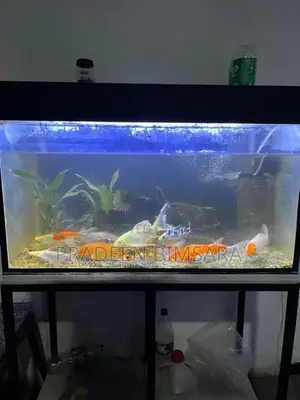 3* 1.5 ft Fish Tank