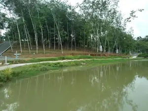 Gated Community Lands for sale in Homagama