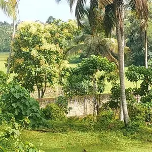 Land for Sale in Kahathuduwa