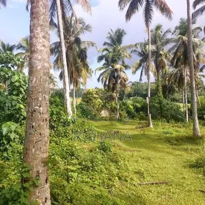 Land for Sale in Kahathuduwa