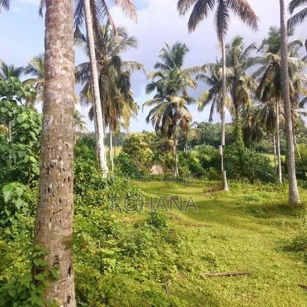 Land for Sale in Kahathuduwa