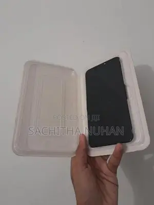 iPhone XS Max Display
