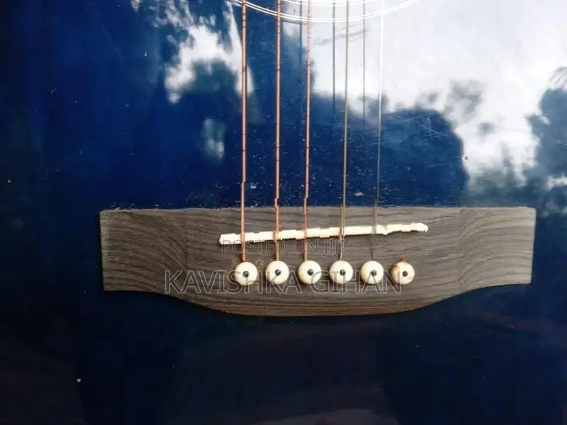 Suzuki Guitar