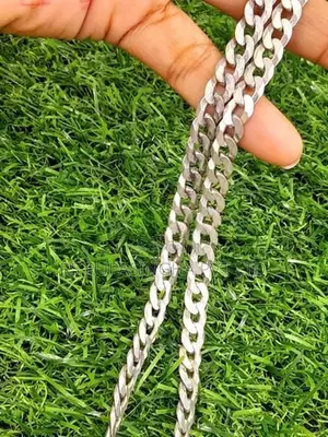 Silver Chain