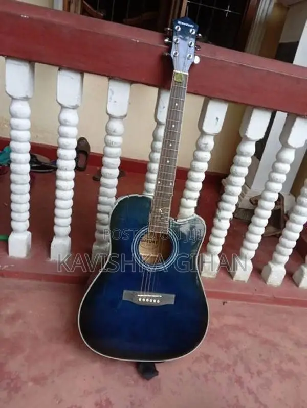 Suzuki Guitar