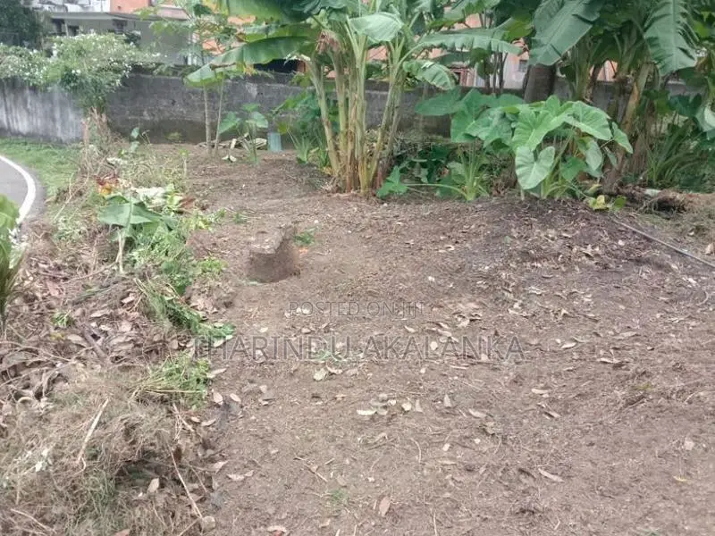 විකිණීමට ඇති වටිනා නේවාසික ඉඩම – සමිදු පාර, මාවිත්තර, පිළියන්දල