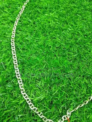 Silver Chain