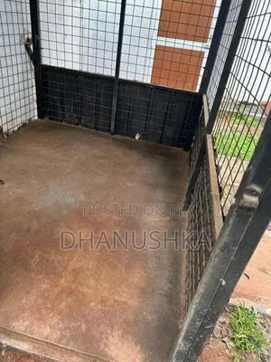 Dog Cage