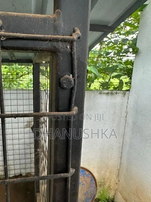 Dog Cage