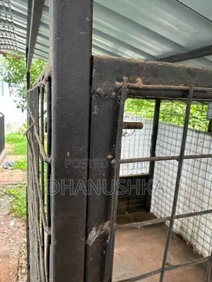 Dog Cage