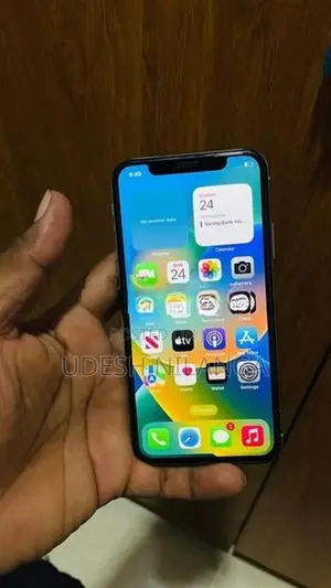 Apple iPhone X (Used)
