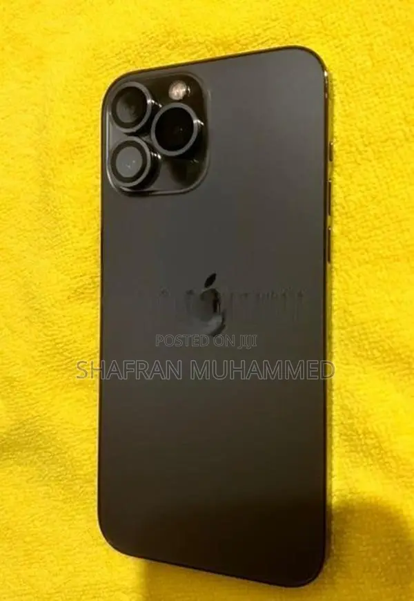 Apple iPhone 13 Pro Max 256GB (Used)