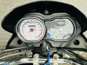 Bajaj Platina 2019