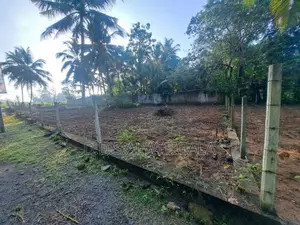 වේරගල, හදපාන්ගොඩ ප්‍රධාන මාර්ගයට මුහුනලා පර්ච්ස්19ක ව්‍යාපාරය ඉඩමක්