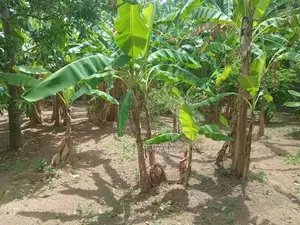 Land for Sale in Kiribathgoda
