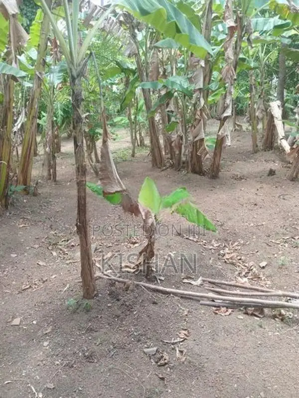 Land for Sale in Kiribathgoda