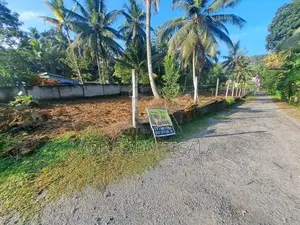 වේරගල, හදපාන්ගොඩ ප්‍රධාන මාර්ගයට මුහුනලා පර්ච්ස්19ක ව්‍යාපාරය ඉඩමක්