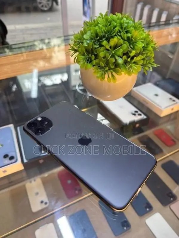 Apple iPhone 11 Pro Max 256GB (Used)