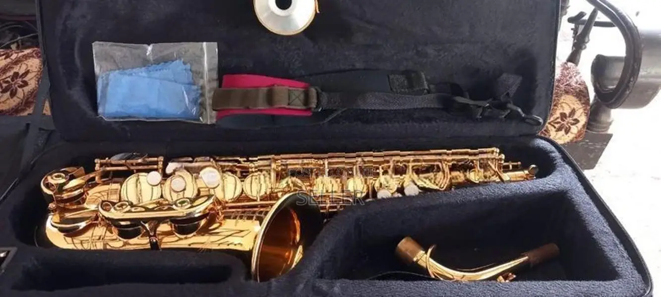 Hilax Alto Saxophone