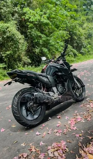 Yamaha FZS V1 2009