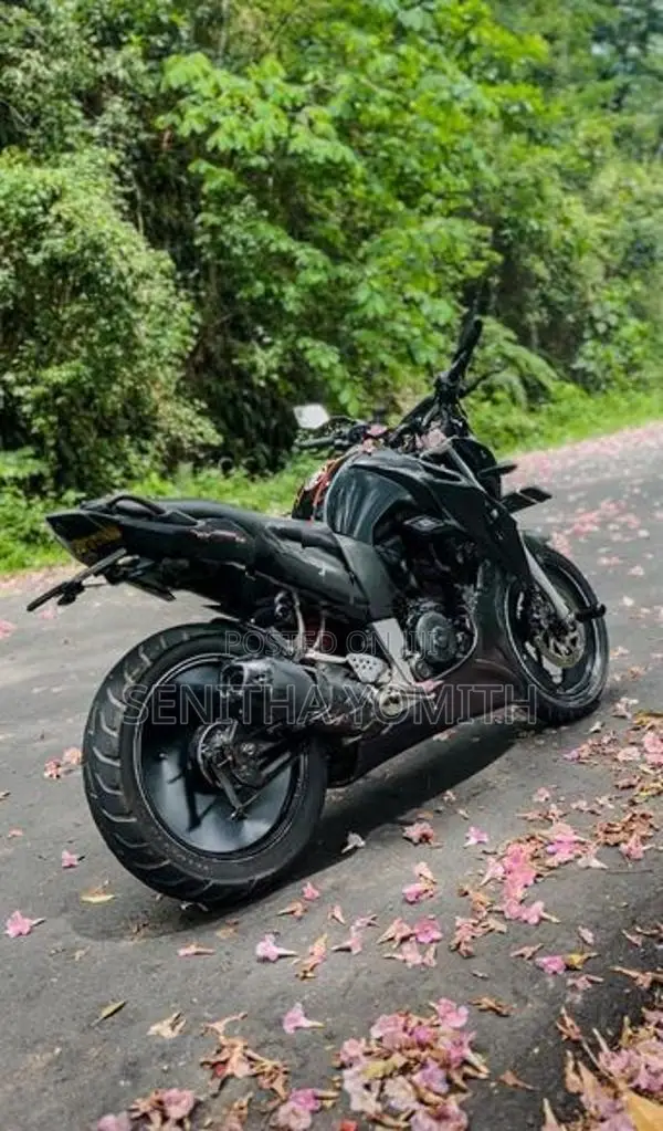 Yamaha FZS V1 2009