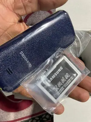 Samsung B315E (Brand New)