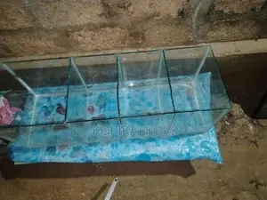 Fish Tank