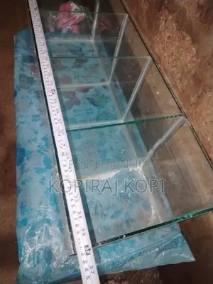 Fish Tank