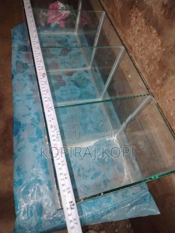 Fish Tank