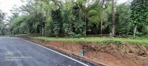 Homagama Lands For Sale