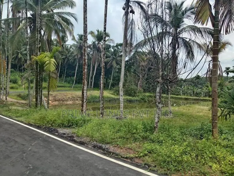 Coconut Land For Sale In Homagama