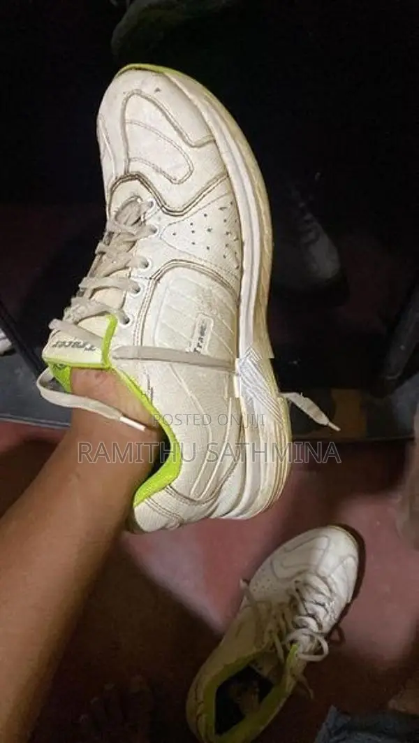 Cricket Nail Shoe