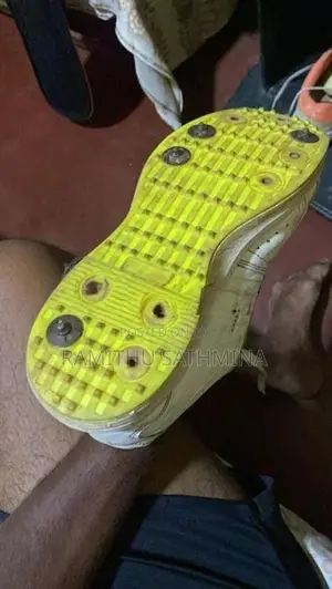 Cricket Nail Shoe