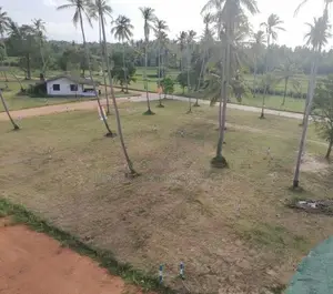 වාරියපොළ නගරයෙන්ම සින්නක්කර බිම්කොටස් විකිණීමට