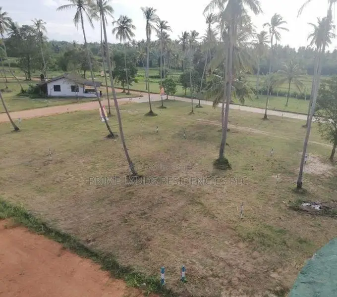 වාරියපොළ නගරයෙන්ම සින්නක්කර බිම්කොටස් විකිණීමට