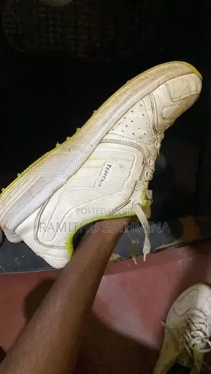 Cricket Nail Shoe