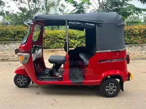 TVS King Three Wheel 2011