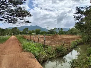 දඹුල්ල නගරසභා සීමාවෙන් සින්නක්කර බිම්කොටස් විකිණීමට
